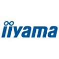 IIYAMA