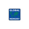 Global Memory